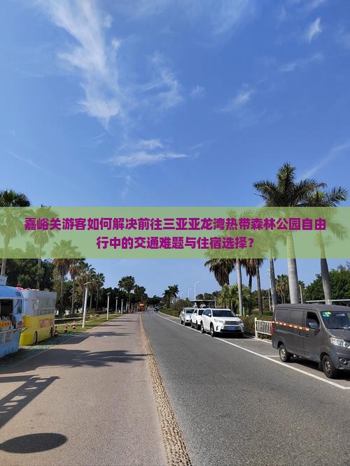 嘉峪关游客如何解决前往三亚亚龙湾热带森林公园自由行中的交通难题与住宿选择？