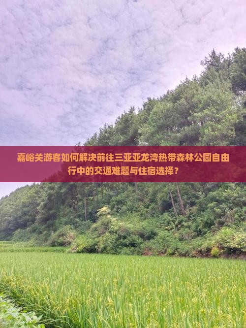 嘉峪关游客如何解决前往三亚亚龙湾热带森林公园自由行中的交通难题与住宿选择？