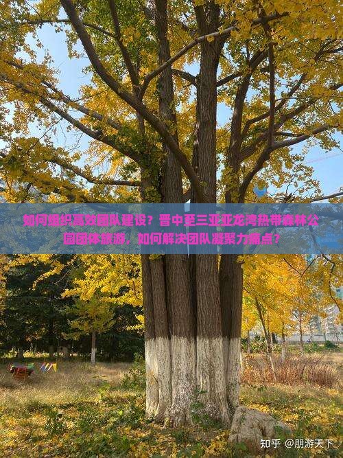 如何组织高效团队建设？晋中至三亚亚龙湾热带森林公园团体旅游，如何解决团队凝聚力痛点？
