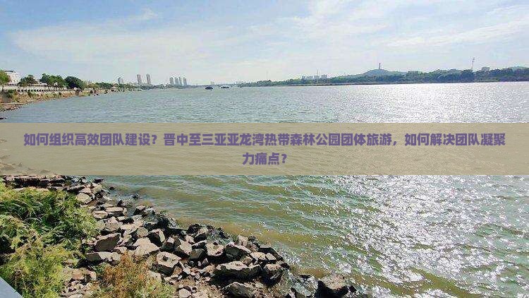 如何组织高效团队建设？晋中至三亚亚龙湾热带森林公园团体旅游，如何解决团队凝聚力痛点？