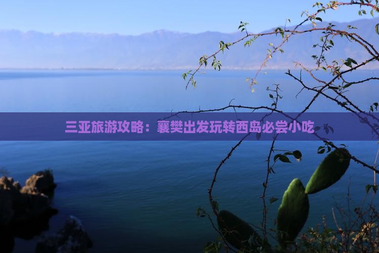 三亚旅游攻略：襄樊出发玩转西岛必尝小吃