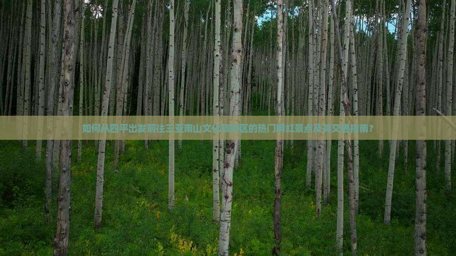 如何从四平出发前往三亚南山文化旅游区的热门网红景点及其交通指南？