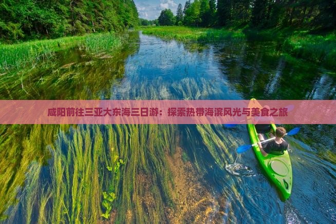 咸阳前往三亚大东海三日游：探索热带海滨风光与美食之旅