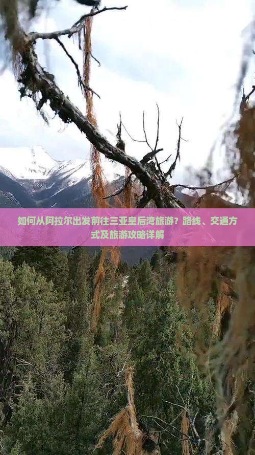 如何从阿拉尔出发前往三亚皇后湾旅游？路线、交通方式及旅游攻略详解