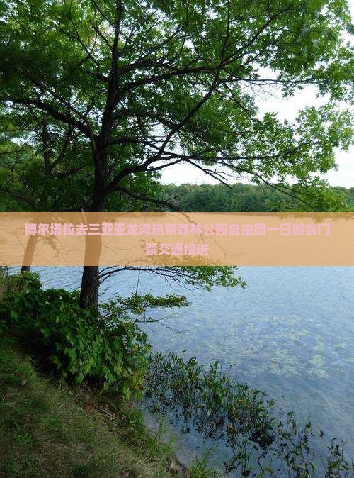 博尔塔拉去三亚亚龙湾热带森林公园自由团一日游含门票交通接送