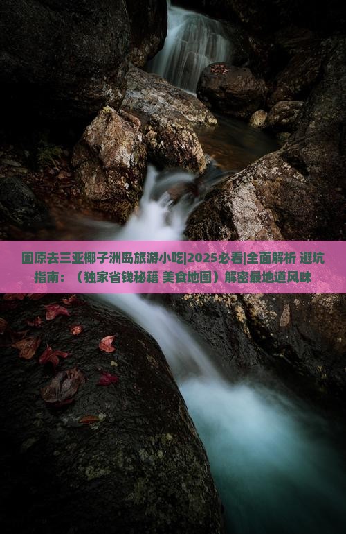 固原去三亚椰子洲岛旅游小吃