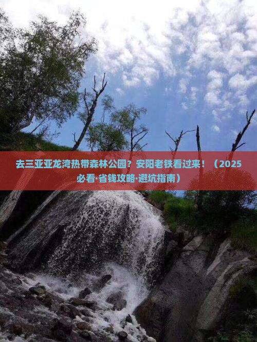安阳去三亚亚龙湾热带森林公园自由团