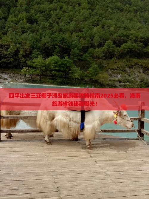 四平出发三亚椰子洲岛大型旅游团