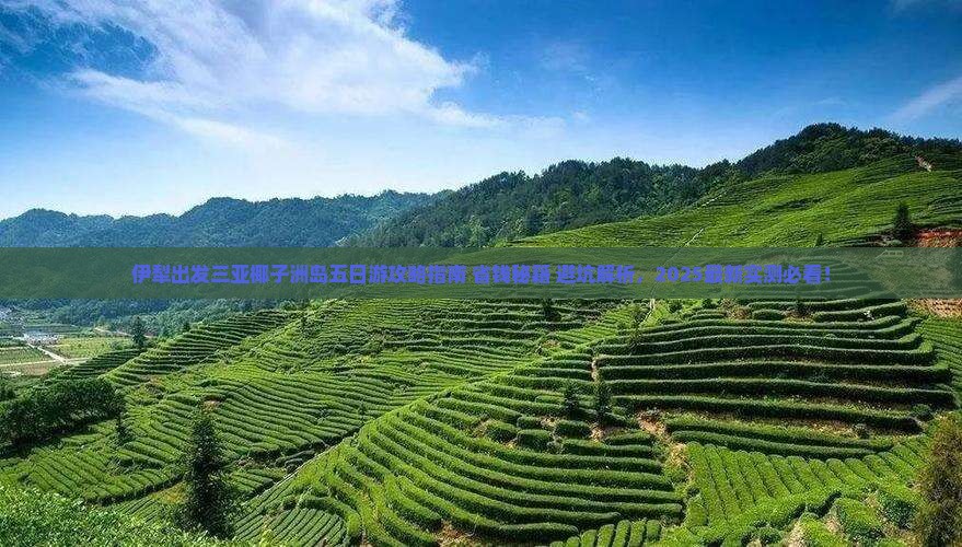 伊犁出发三亚椰子洲岛五日游