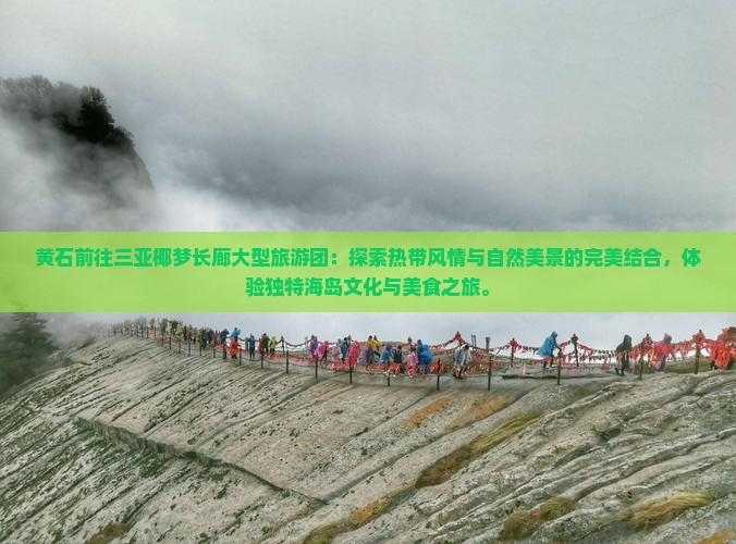 黄石前往三亚椰梦长廊大型旅游团