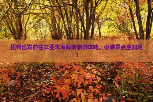 梧州前往三亚小东海个人游