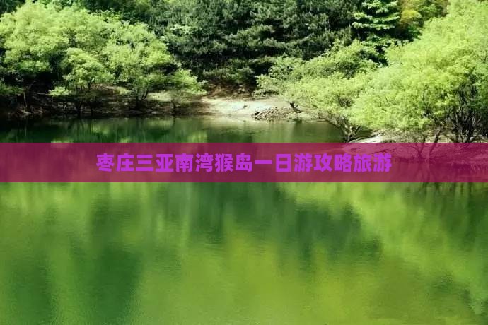 枣庄前往三亚南湾猴岛一日游