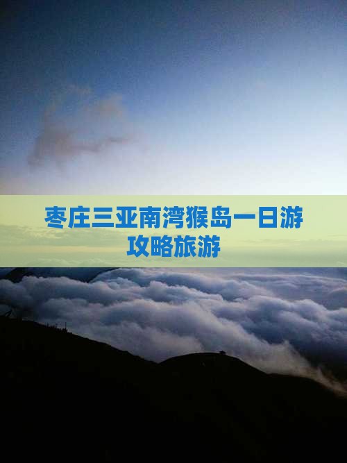 枣庄前往三亚南湾猴岛一日游