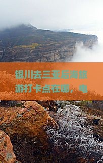 银川去三亚后海旅游打卡点