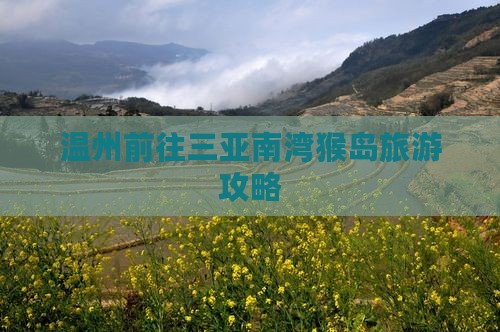 温州前往三亚南湾猴岛哪里玩
