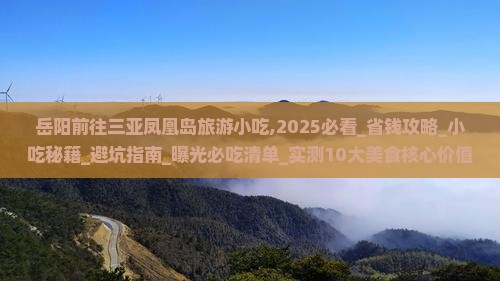 岳阳前往三亚凤凰岛旅游小吃