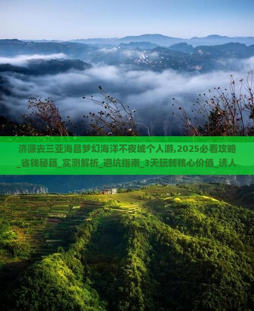 济源去三亚海昌梦幻海洋不夜城个人游