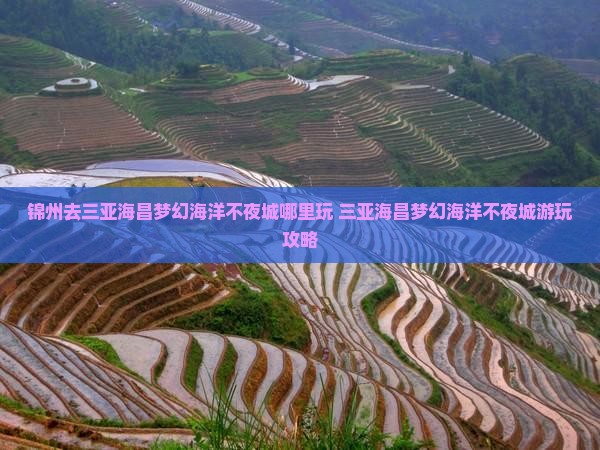 锦州去三亚海昌梦幻海洋不夜城哪里玩