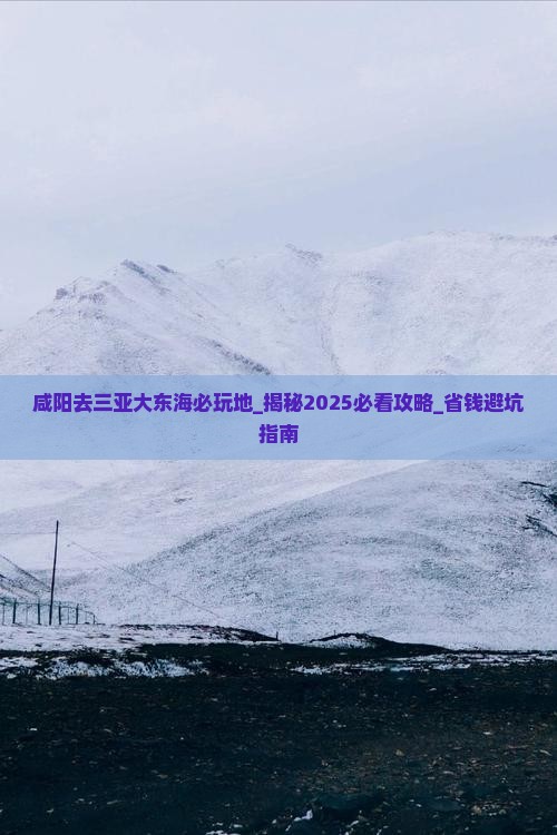 咸阳去三亚大东海必玩地