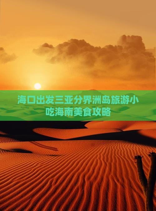 海口出发三亚分界洲岛旅游小吃