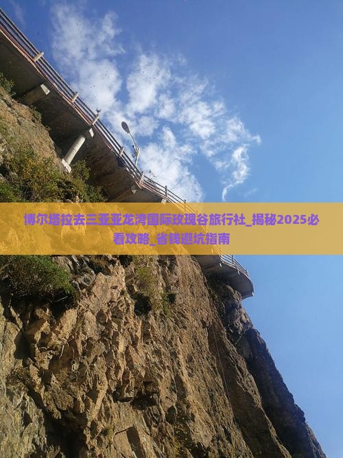 博尔塔拉去三亚亚龙湾国际玫瑰谷旅行社