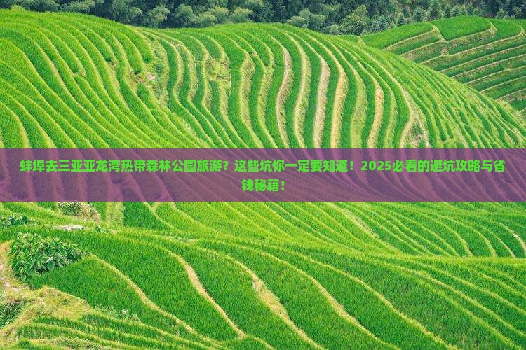 蚌埠前往三亚亚龙湾热带森林公园旅游