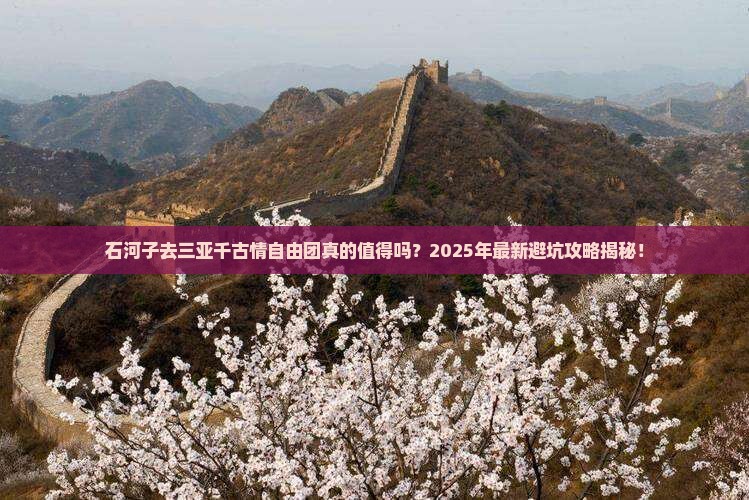 石河子去三亚千古情自由团
