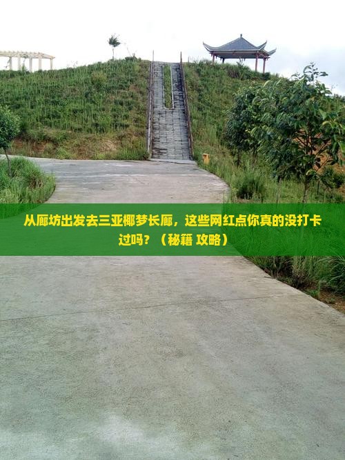 廊坊出发三亚椰梦长廊旅游网红地点