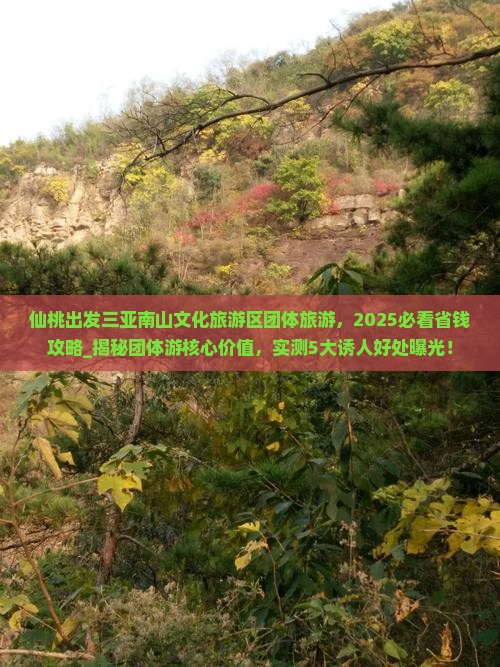 仙桃出发三亚南山文化旅游区团体旅游
