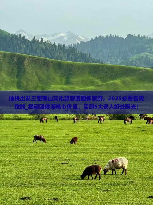 仙桃出发三亚南山文化旅游区团体旅游