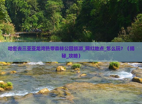 哈密去三亚亚龙湾热带森林公园旅游网红地点