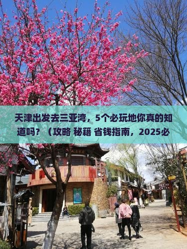 天津出发三亚三亚湾必玩地