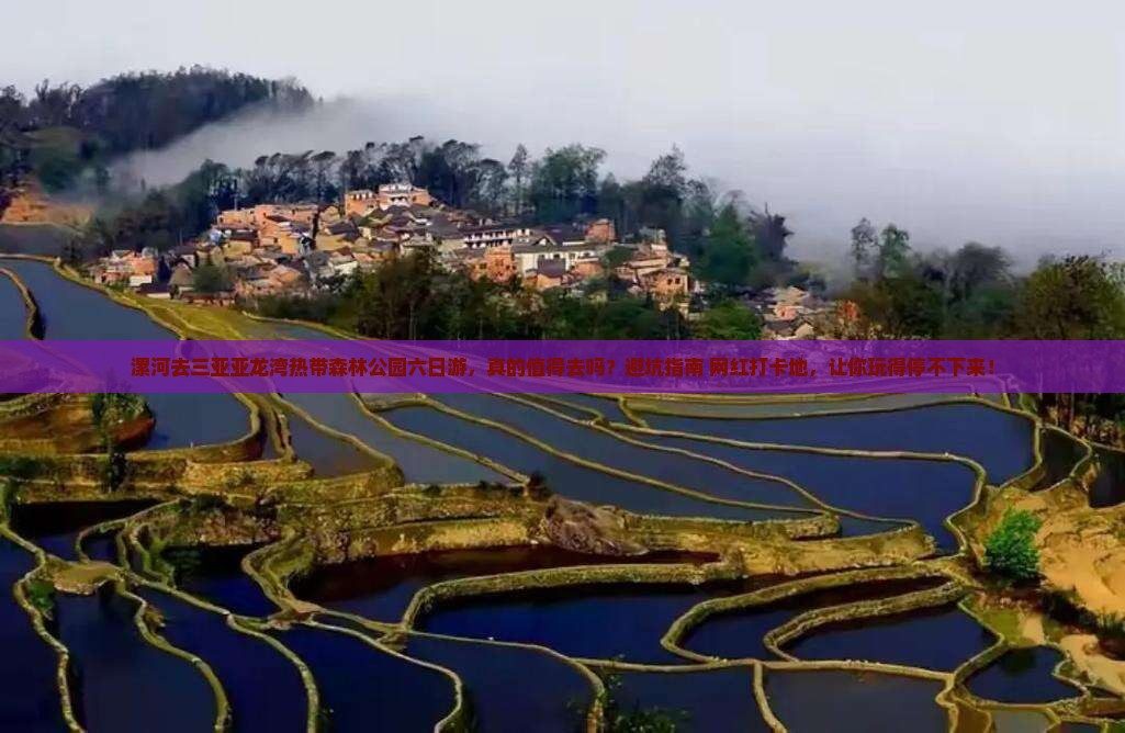 漯河去三亚亚龙湾热带森林公园六日游