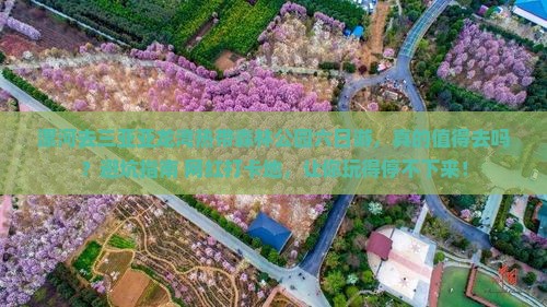 漯河去三亚亚龙湾热带森林公园六日游