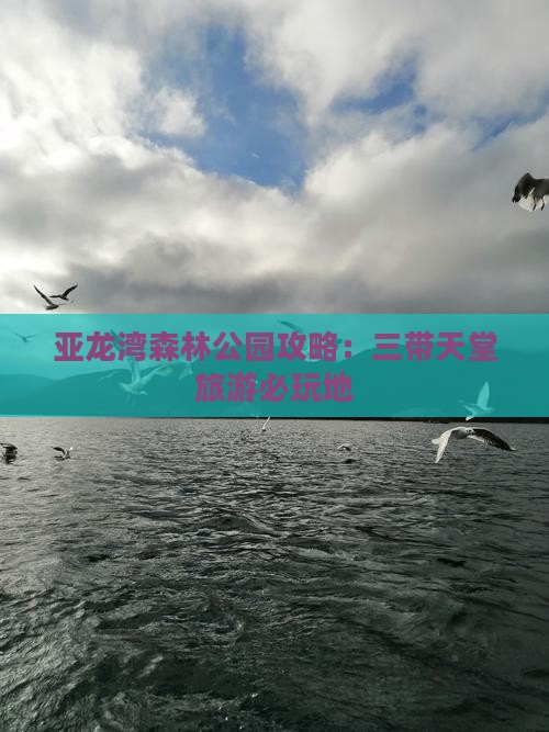 嘉兴出发三亚亚龙湾热带森林公园必玩地