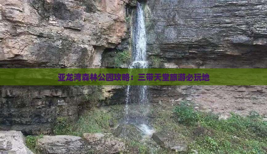 嘉兴出发三亚亚龙湾热带森林公园必玩地