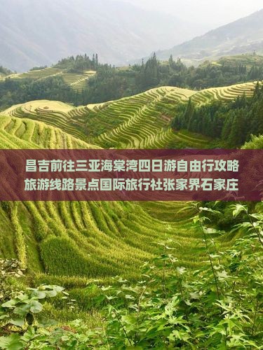 昌吉前往三亚海棠湾四日游