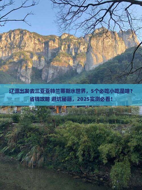 辽源去三亚亚特兰蒂斯水世界旅游小吃