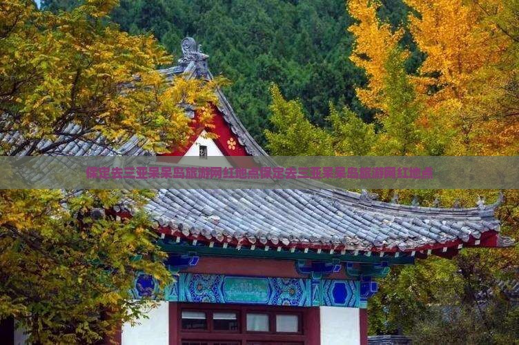 保定去三亚呆呆岛旅游网红地点