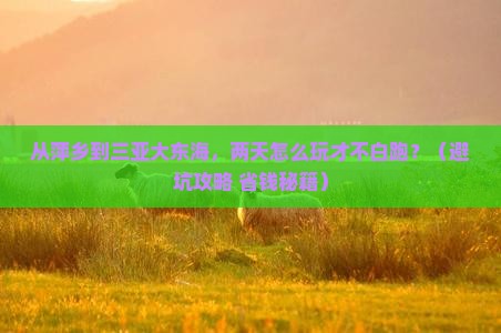 萍乡出发三亚大东海二日游