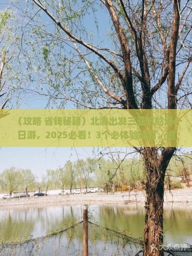 北海前往三亚半山半岛帆船港一日游
