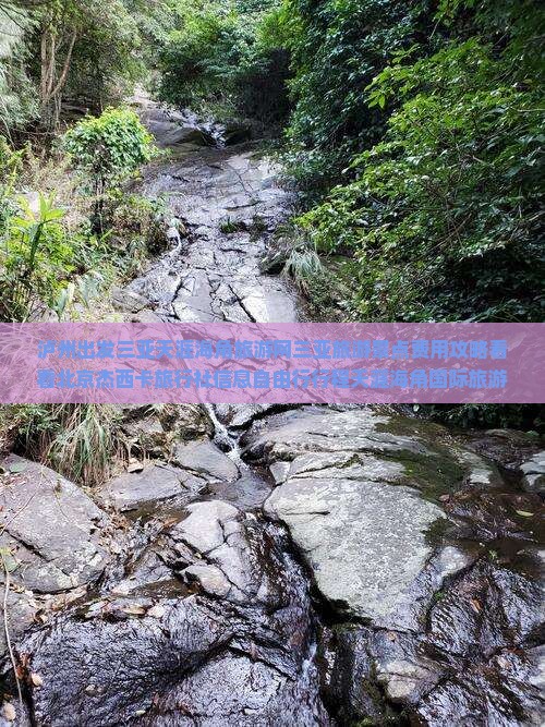 泸州出发三亚天涯海角旅游网三亚旅游景点费用攻略看看北京杰西卡旅行社信息自由行行程天涯海角国际旅游地点