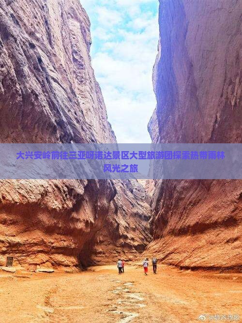 大兴安岭前往三亚呀诺达景区大型旅游团探索热带雨林风光之旅