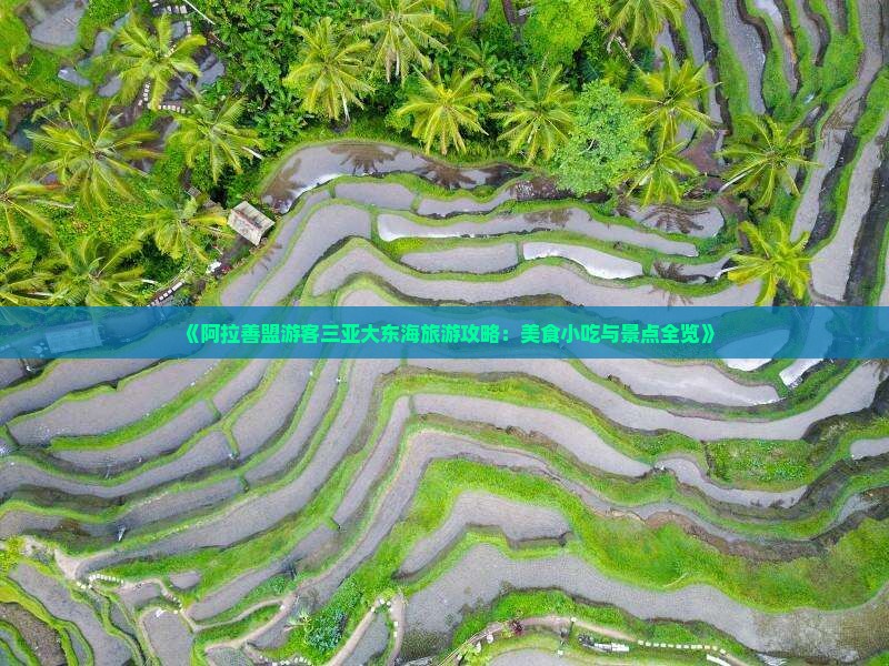 《阿拉善盟游客三亚大东海旅游攻略：美食小吃与景点全览》