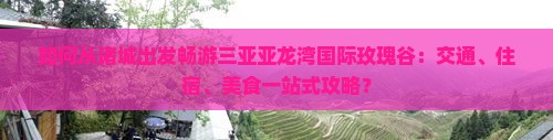 如何从诸城出发畅游三亚亚龙湾国际玫瑰谷：交通、住宿、美食一站式攻略？