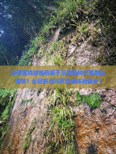 为何宝鸡游客热衷于三亚亚特兰蒂斯水族馆？必玩热点与沉浸式体验痛点！