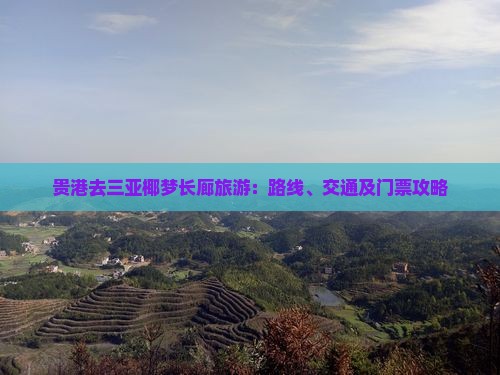 贵港去三亚椰梦长廊旅游：路线、交通及门票攻略