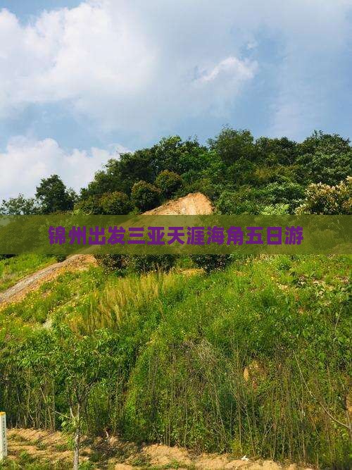 锦州出发三亚天涯海角五日游