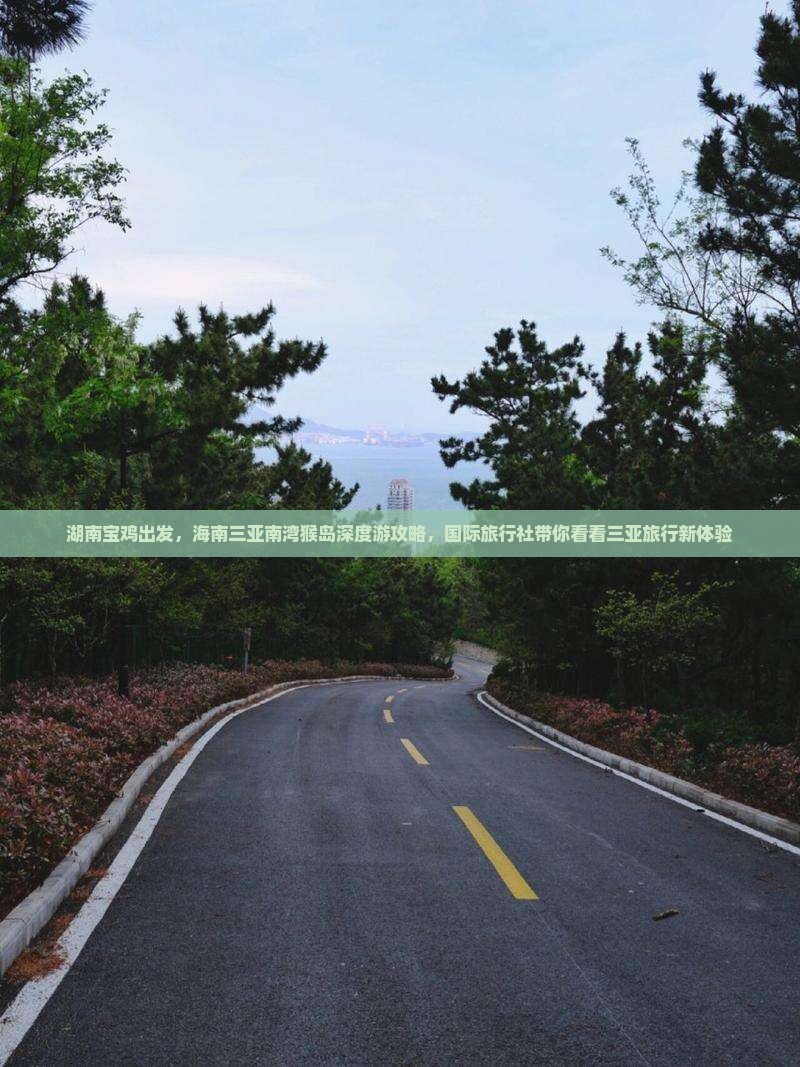 湖南宝鸡出发，海南三亚南湾猴岛深度游攻略，国际旅行社带你看看三亚旅行新体验