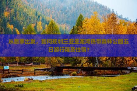从思茅出发，如何规划三亚亚龙湾热带森林公园五日游行程及住宿？